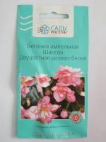 Бегония ампельная Шансон Двуцветная розово-белая  10 шт.