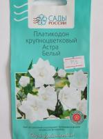 Платикодон крупноцветковый Астра Белый  5 шт.