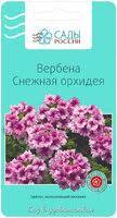 Вербена Снежная орхидея 10 шт.
