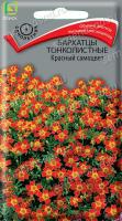 Бархатцы (Тагетес) тонколистные Красный самоцвет. Поиск
