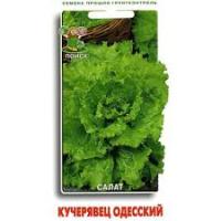 Салат Кучерявец Одесский. Поиск