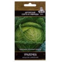 Капуста савойская Уралочка. Поиск