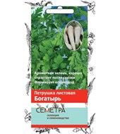 Петрушка листовая Богатырь (Семетра). Поиск