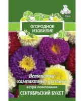 Астра помпонная Сентябрьский букет (Огородное изобилие)  0,3гр. Поиск