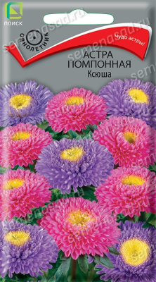 Астра помпонная Ксюша (однолетн), 0,3гр. Поиск