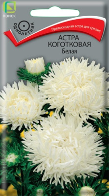 Астра коготковая Белая (однолетн.), 0,3гр. Поиск