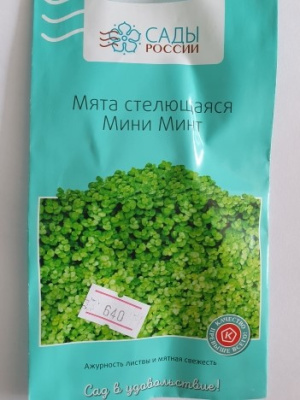 Мята стелящаяся Мини Минт  6 шт.