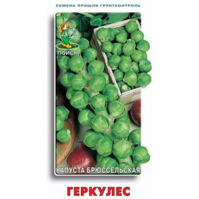 Капуста брюссельская Геркулес. Поиск