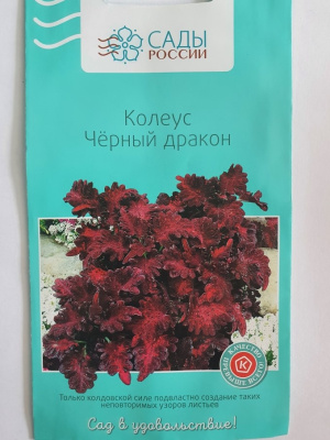 Колеус Черный дракон  20 шт.