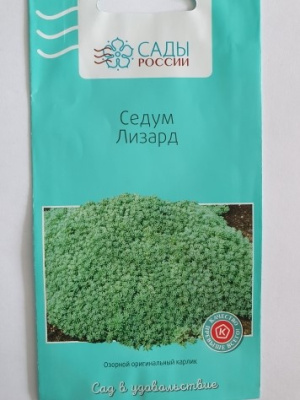 Седум Лизард  20 шт.