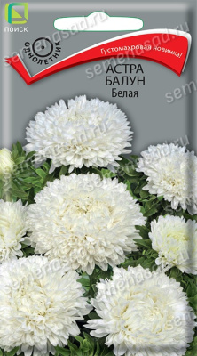 Астра Балун Белая (однолетн.), 0,1гр. Поиск
