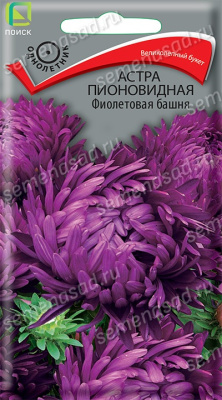 Астра пионовидная Фиолетовая башня (однолетн.). Поиск
