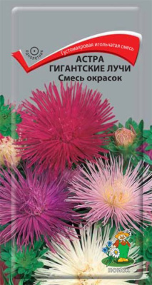 Астра Гигантские лучи  Смесь окрасок. Поиск