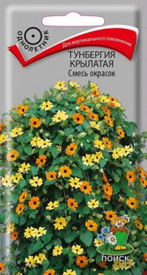 Тунбергия крылатая Смесь окрасок. Поиск