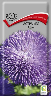 Астра Игл Софи (однолетн.), 0,3гр. Поиск