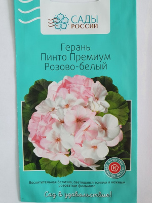 Герань Пинто премиум Розово-белая  4 шт.