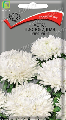 Астра пионовидная Белая башня (однолетняя). Поиск