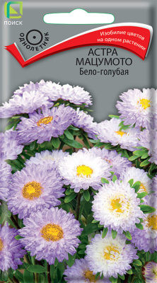 Астра Мацумото Бело-голубая, 0,1гр. Поиск