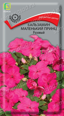 Бальзамин Маленький принц розовый. Поиск