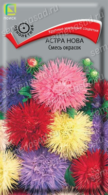 Астра нова Смесь окрасок (однолетн.). Поиск