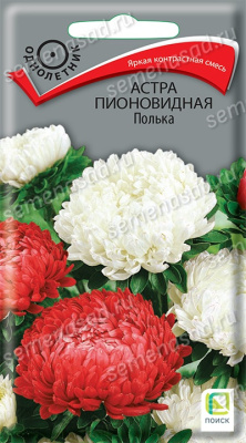Астра пионовидная Полька (однолетн), 0,3гр. Поиск