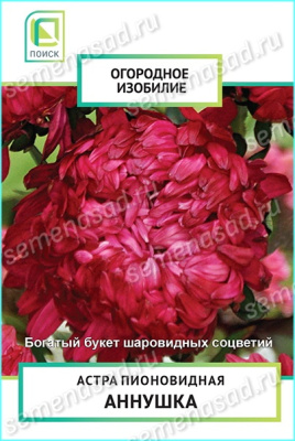Астра пионовидная Аннушка (однолетн.) (Огородное изобилие), 0,3гр. Поиск