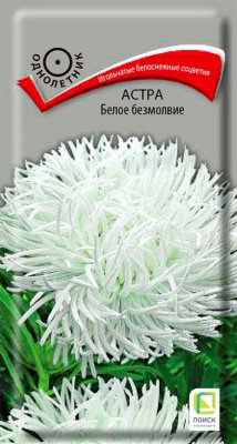 Астра Белое безмолвие (однолетн.), 0,3гр. Поиск