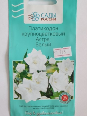 Платикодон крупноцветковый Астра Белый  5 шт.