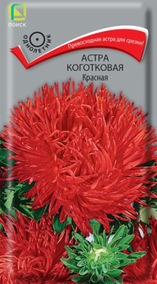 Астра коготковая Красная (однолетн.), 0,3гр. Поиск