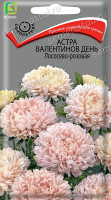 Астра Валентинов день Лососевао-розовая (однолетн.). Поиск