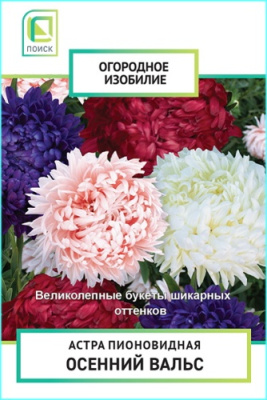 Астра пионовидная Осенний вальс однолетн. (Огородное изобилие), 0,3гр. Поиск