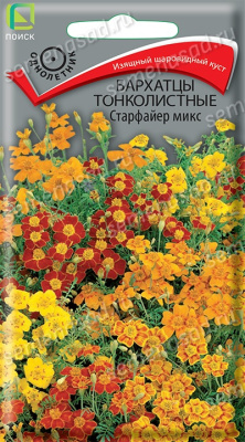 Бархатцы (Тагетес) тонколистные Старфайер микс. Поиск