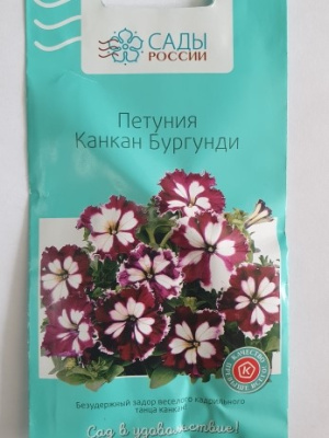 Петуния крупноцветковая Канкан Бургунди  10 шт.