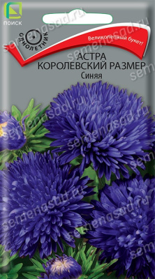 Астра королевский размер Синяя (однолетн), 0,1гр. Поиск