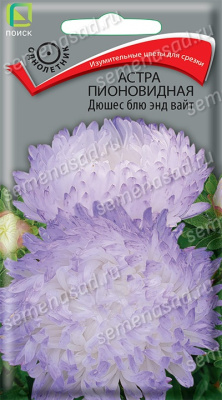 Астра пионовидная Дюшес блю энд вайт (однолетн.), 0,3гр. Поиск