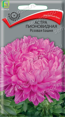 Астра пионовидная Розовая башня (однолетн), 0,3гр. Поиск
