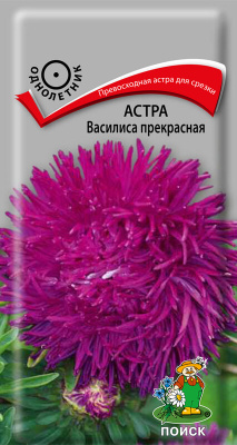 Астра Василиса прекрасная (однолетн.), 0,3гр. Поиск