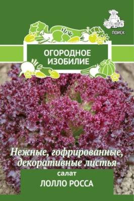 Салат листовой Лолло Росса (Огородное изобилие), 1 гр. Поиск