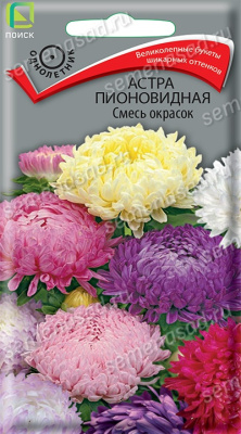 Астра пионовидная Смесь окрасок (однолетн) (ЧБ), 0,3гр. Поиск