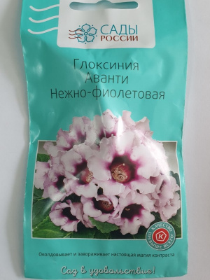 Глоксиния Аванти Нежно-фиолетовая  10 шт.