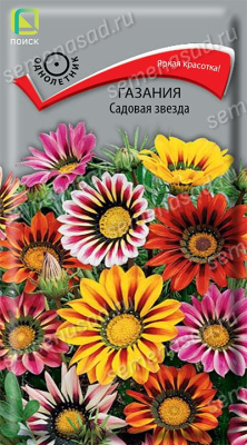Газания (Гацания) Садовая звезда 0,1гр. Поиск