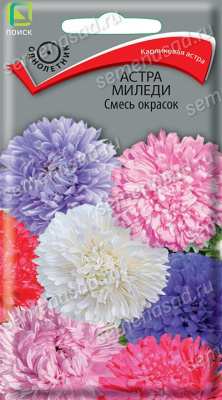 Астра Миледи Смесь окрасок (однолетн), 0,1гр. Поиск
