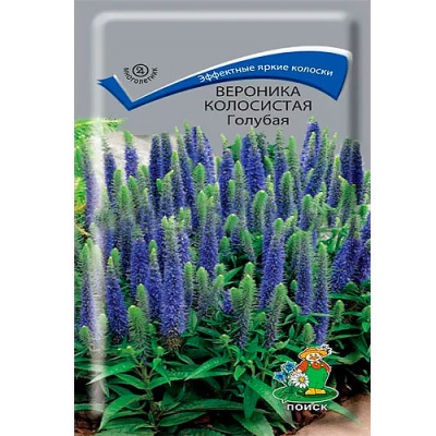 Вероника колосистая Голубая 0,1гр. Поиск