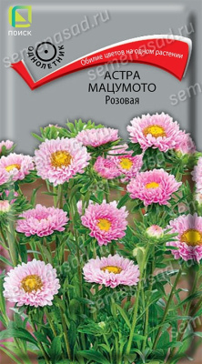 Астра Мацумото Розовая, 0,1гр. Поиск