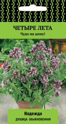 Душица обыкновенная Надежда (сер. Четыре лета). Поиск