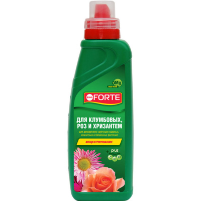 BONA FORTE 