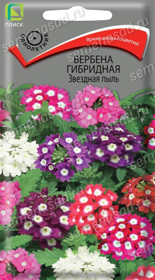 Вербена гибридная Звездная пыль, 0,2гр. Поиск