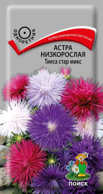 Астра низкорослая Тиеса Стар микс. Поиск