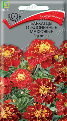 Бархатцы (Тагетес) отклонен. махровые Ред Черри 0,3гр. Поиск