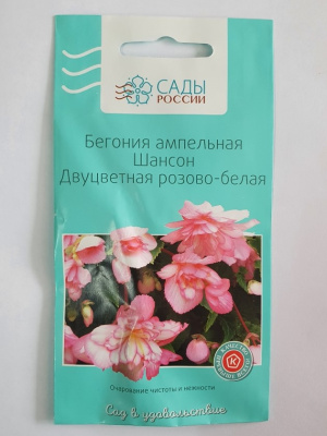 Бегония ампельная Шансон Двуцветная розово-белая  10 шт.